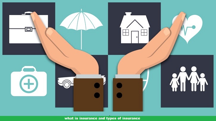 What is Insurance and the 7 Major Types of Insurance!