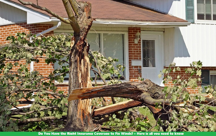Do You Have the Right Insurance Coverage to Fix Winds? – Here is all you need to know